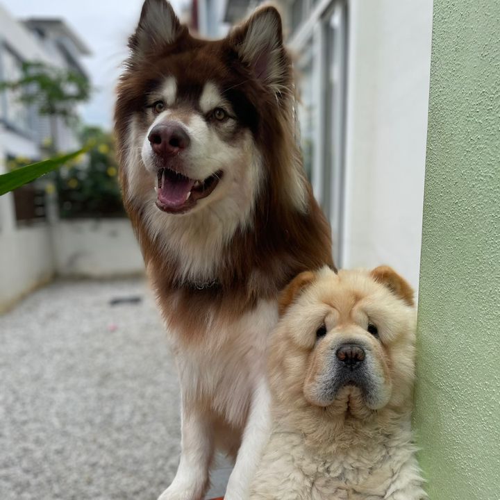 TikTreasury