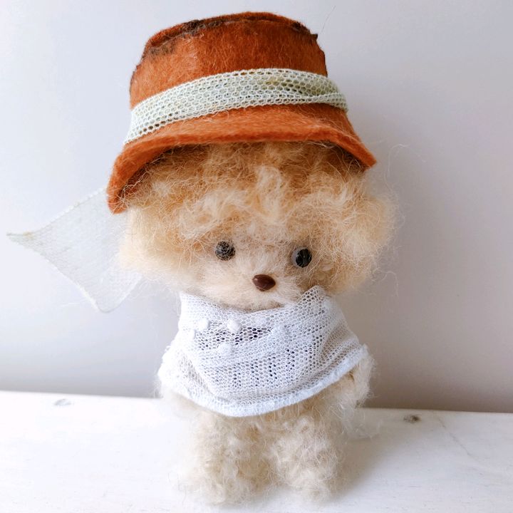 amimomo