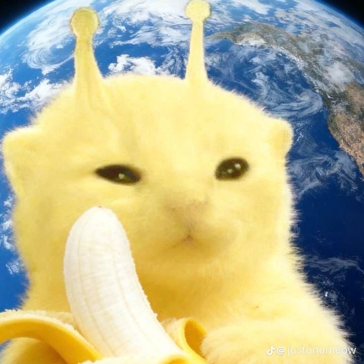 the banana girl 🍌