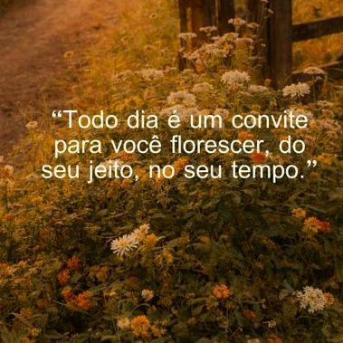 Mensagem motivacional diária