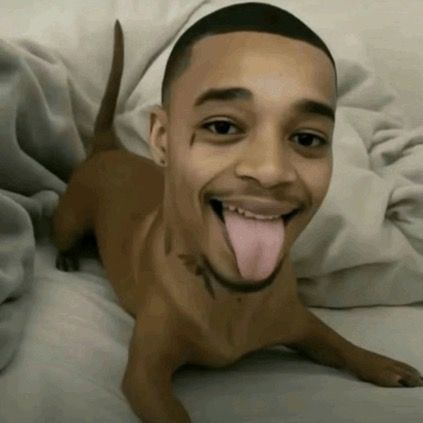bdotwalkemdown1