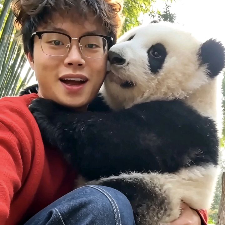 ChinaTourismCompany中国旅游公司