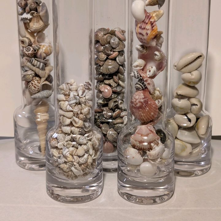 Shellchemist