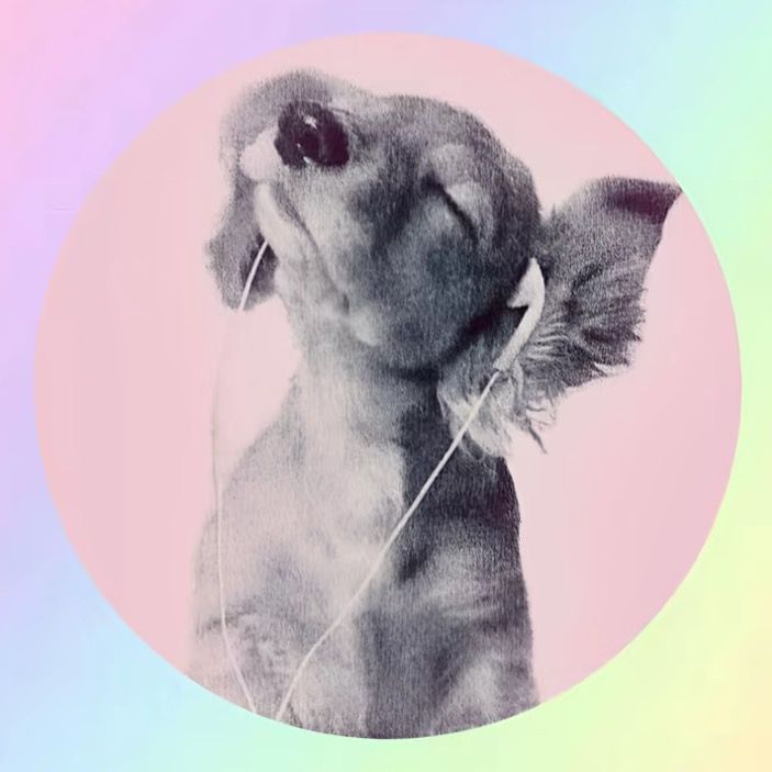 𝓢𝓸𝓯𝓲𝓪