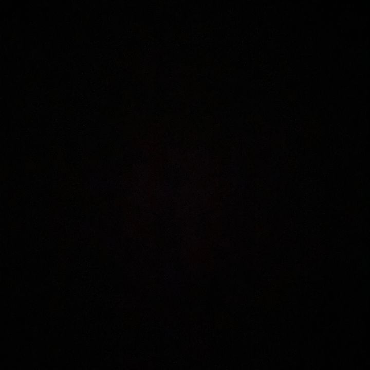 iFollowBack