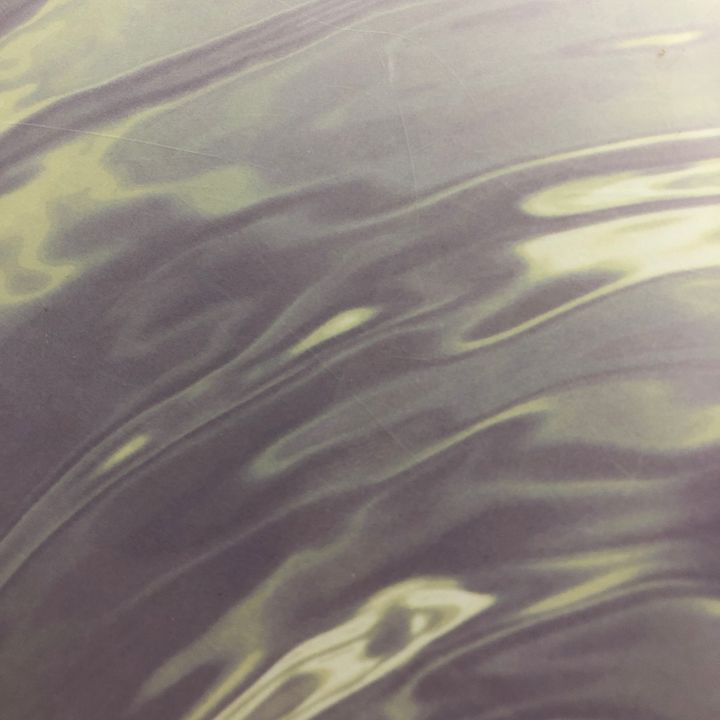 Luna‘s Echo