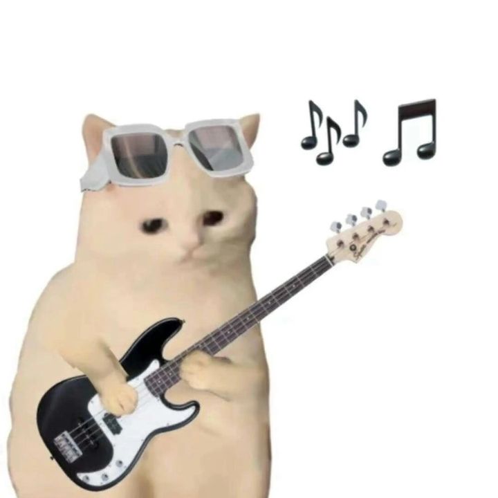 le019y