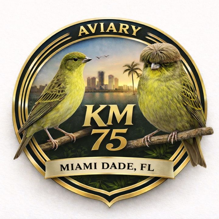 AviaryKM
