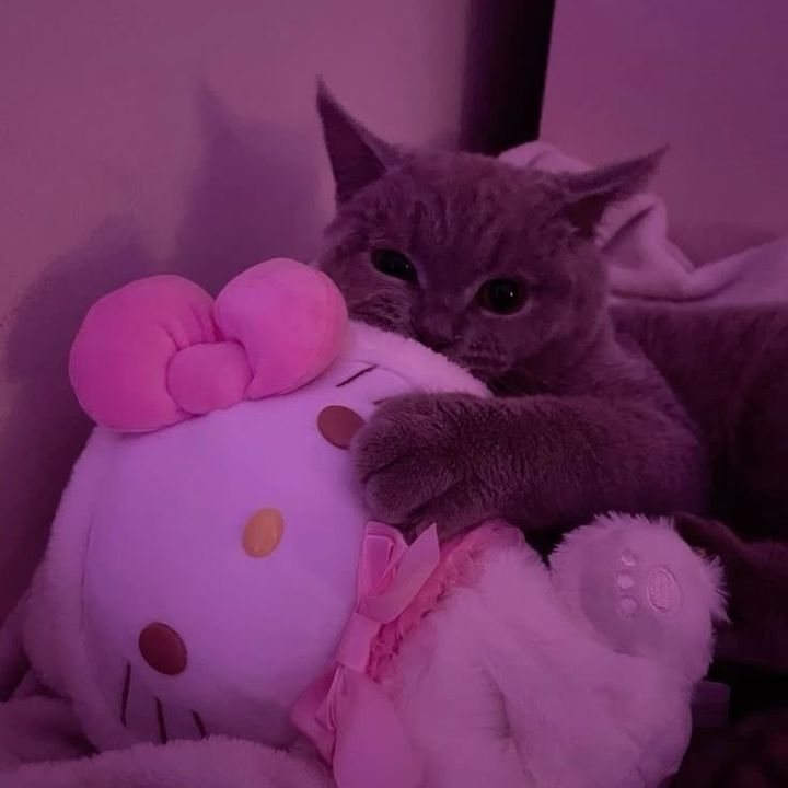 Freya