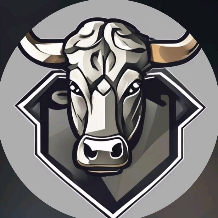 Estilo do campo