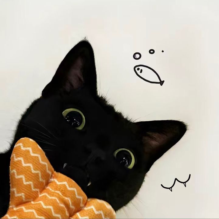 qxya06