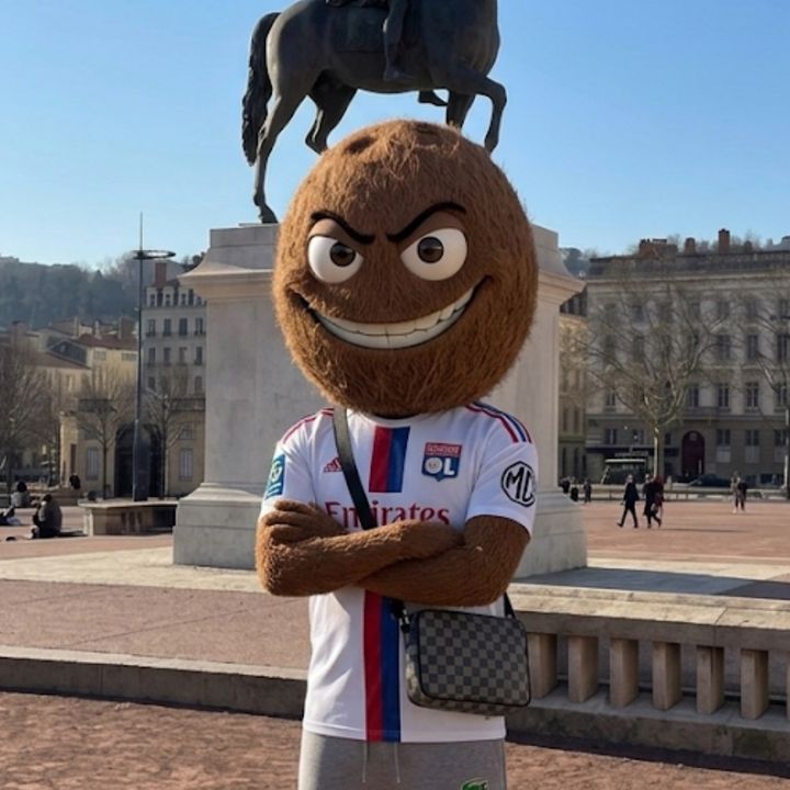 LE 🐀 DE LYON