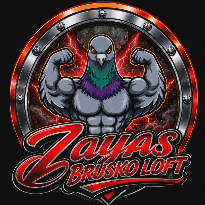 Zayas Brusko Loft 2.0