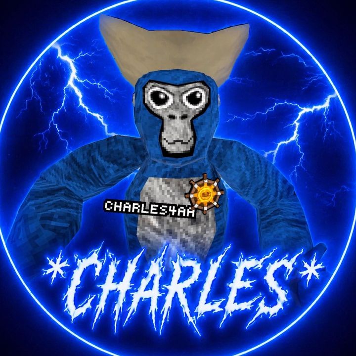 💫𝔠𝔥𝔞𝔯𝔩𝔢𝔰✦
