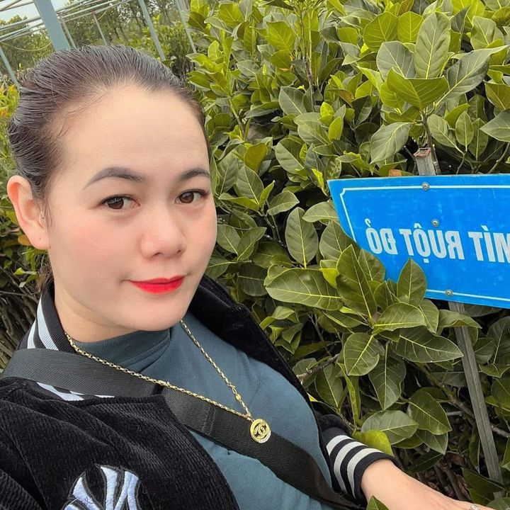 Gia Dụng Hoài Phương