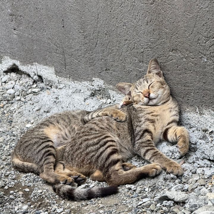 ClipsThatHelps