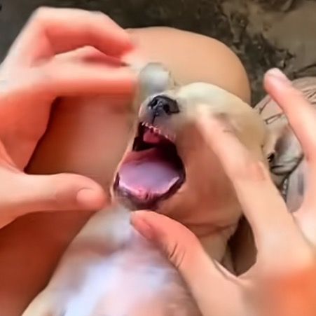 n3nkjw6