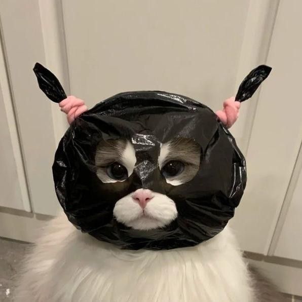 Hải Ýe Sờ Kin Cé