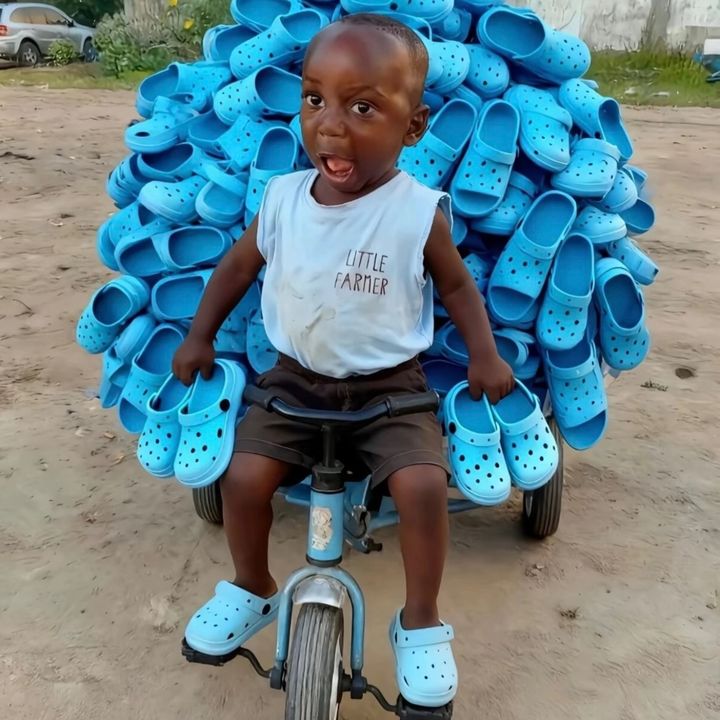 Shoes King