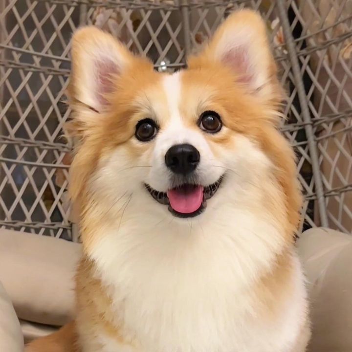 Claired2Of7Aqv