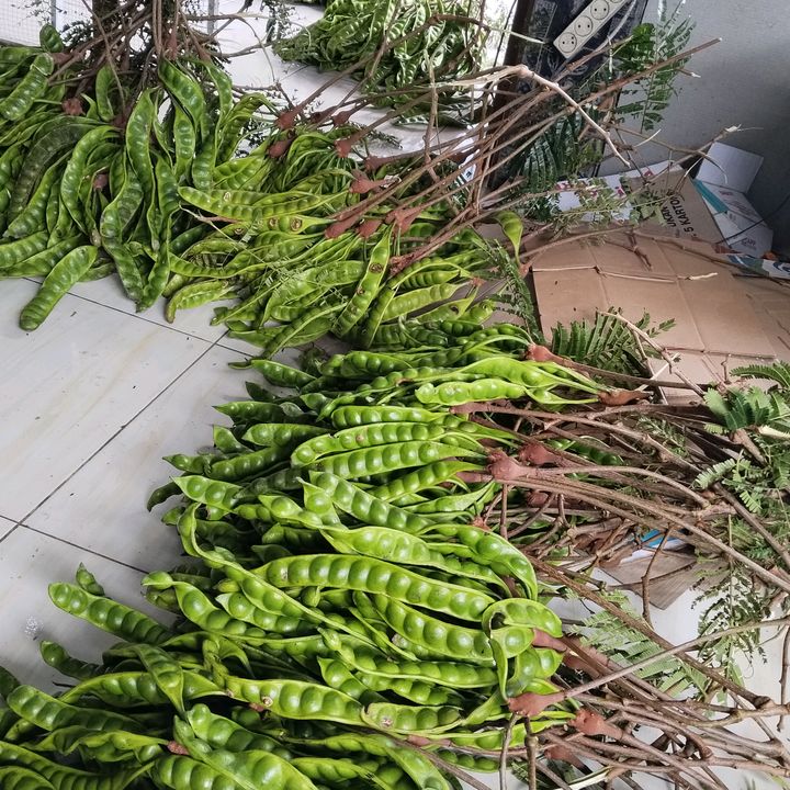 Pentol pete