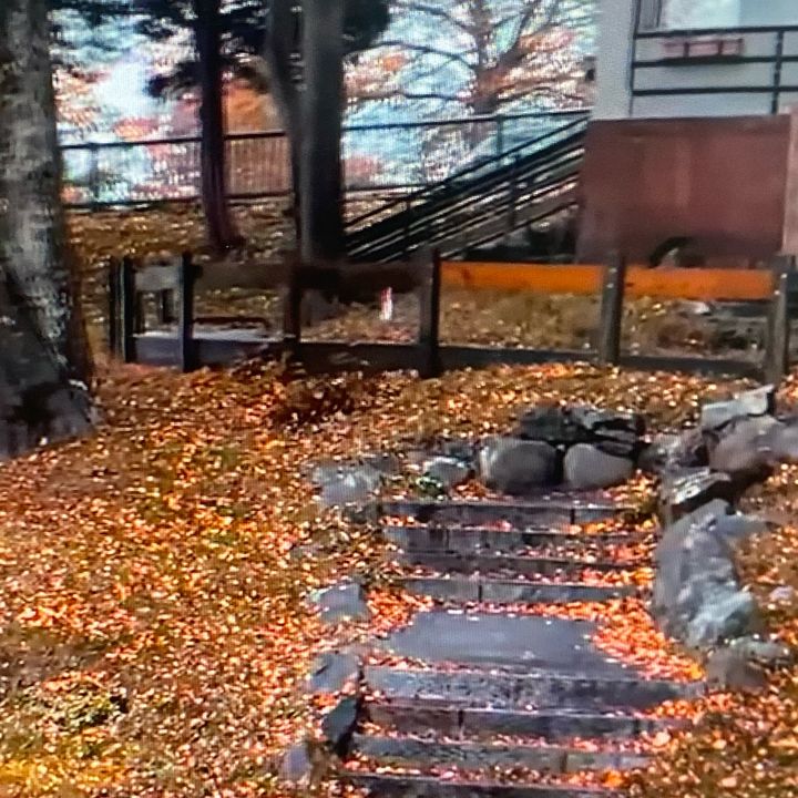 pwdcz20