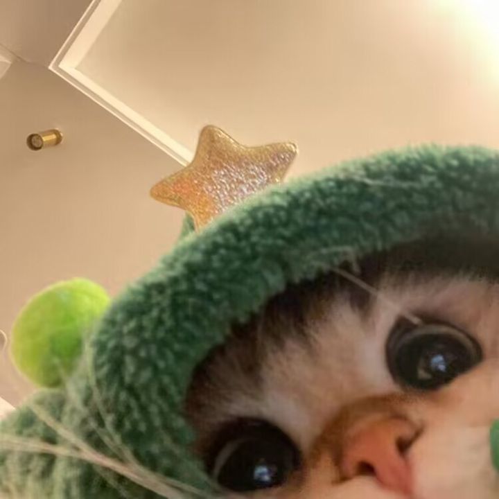 Funnycute2