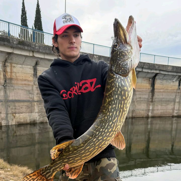 Lemos.fishing