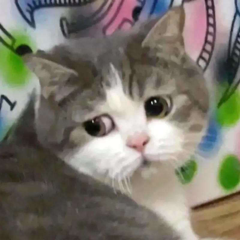 guijietu983868