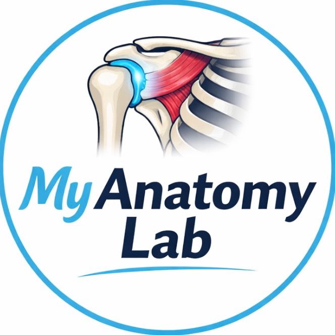 MyAnatomyLab