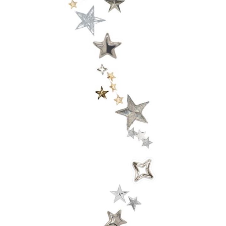 stargirlfits