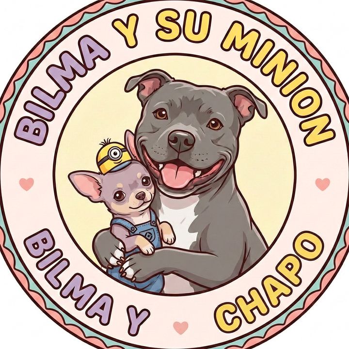 BilmaYTxapo