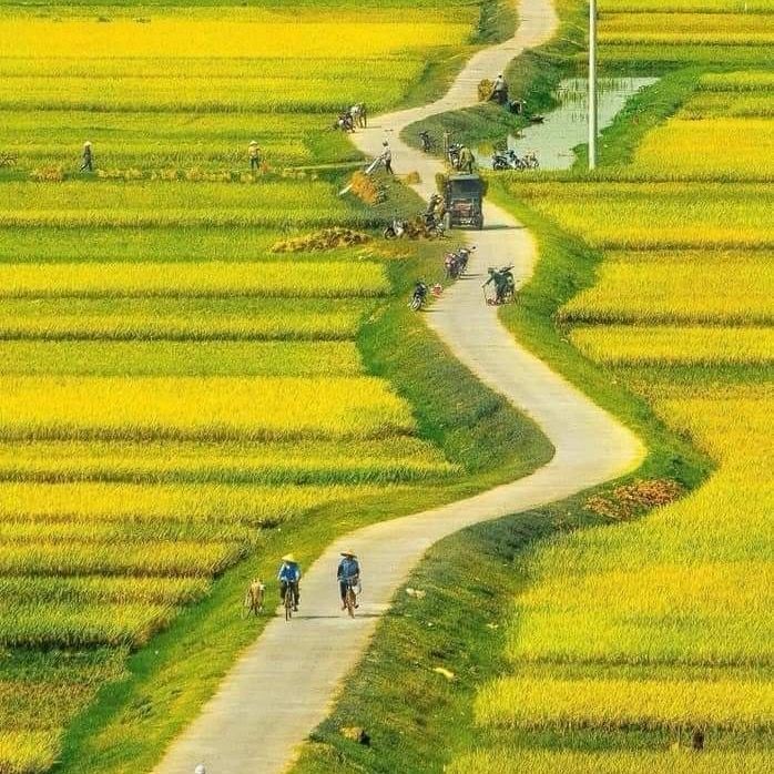 Cuộc sống muôn màu
