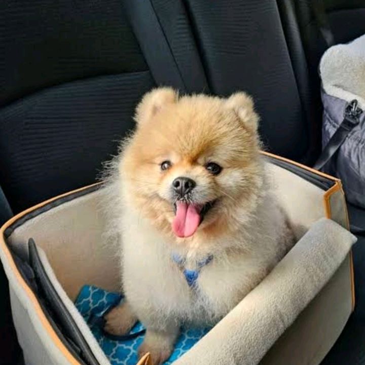 OnTheCart