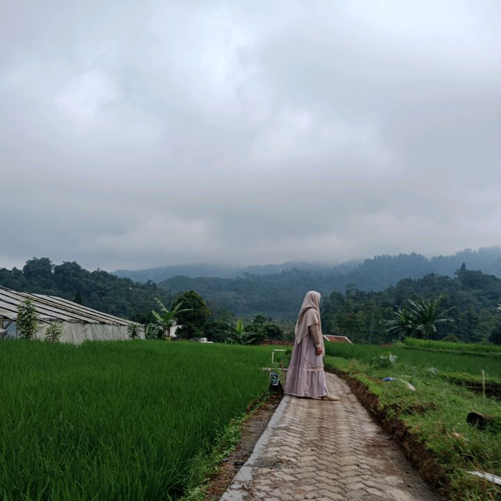 witshop