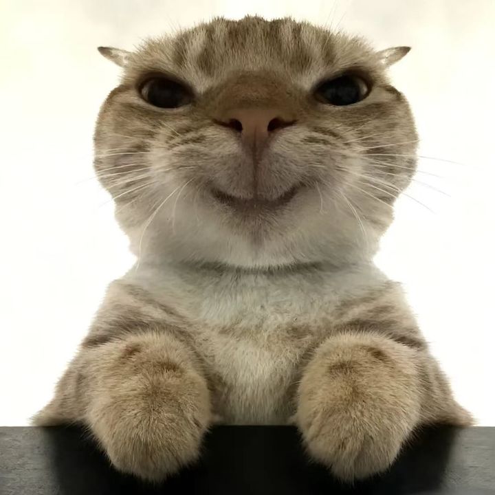 gdabdoup21b