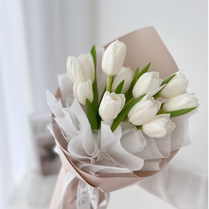 Melati Putih 🤍🕊️