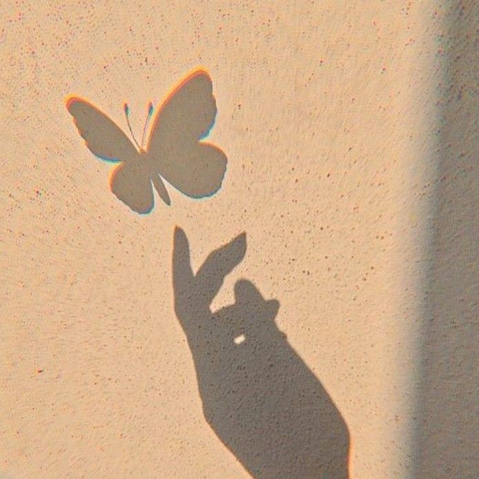 _butt3rfly