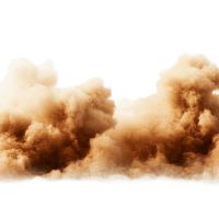 dustman