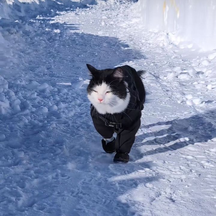 snow.stroy23