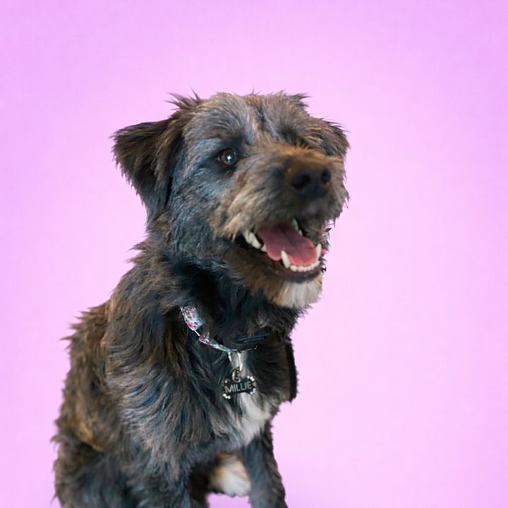 Millie