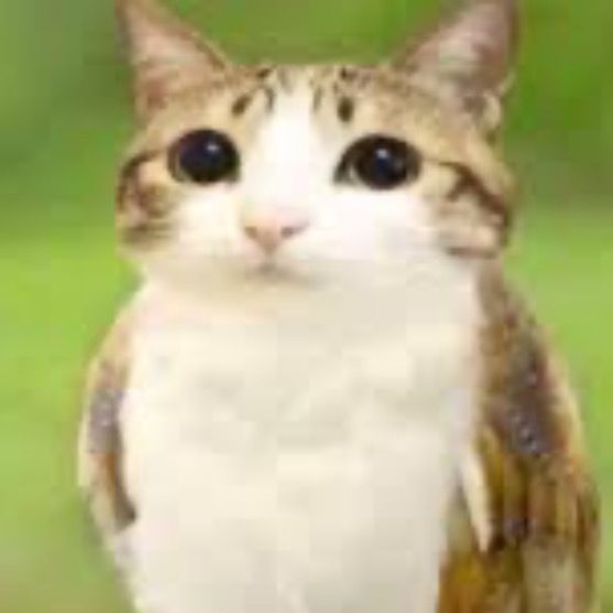 fender1880