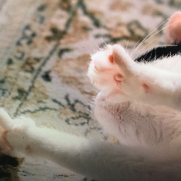 klq2czxzp5