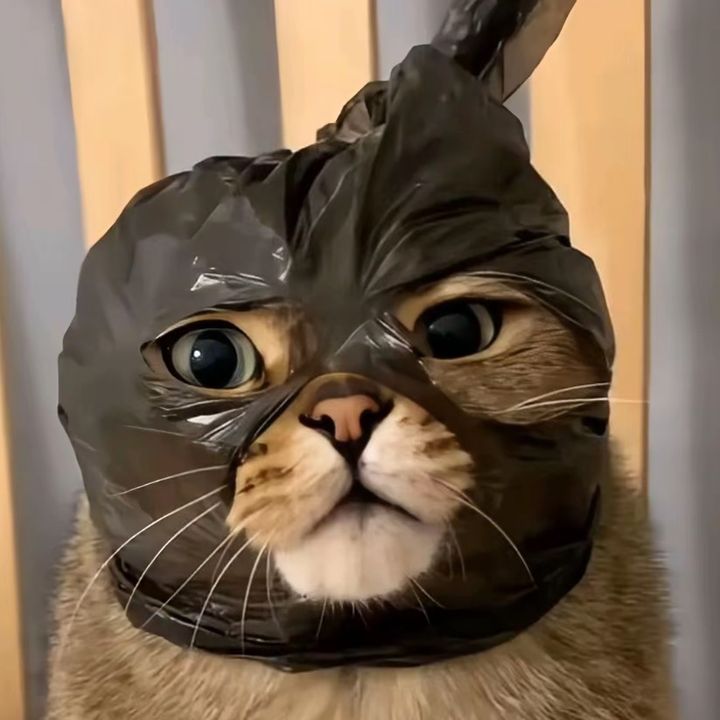 Itscuy