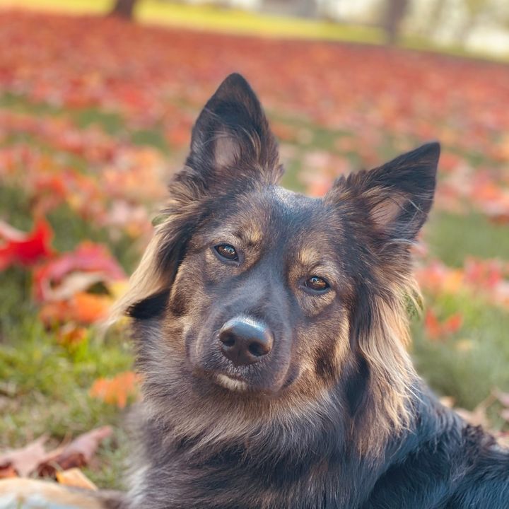 River, The REAL Bossy Aussie