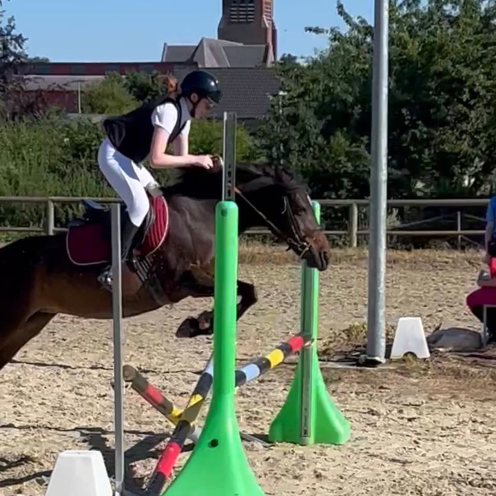 clem.horse