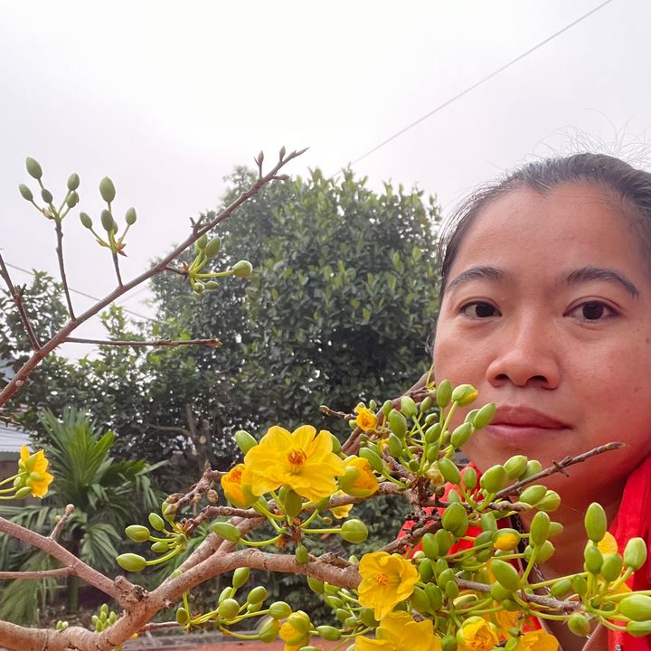 shopp thanh