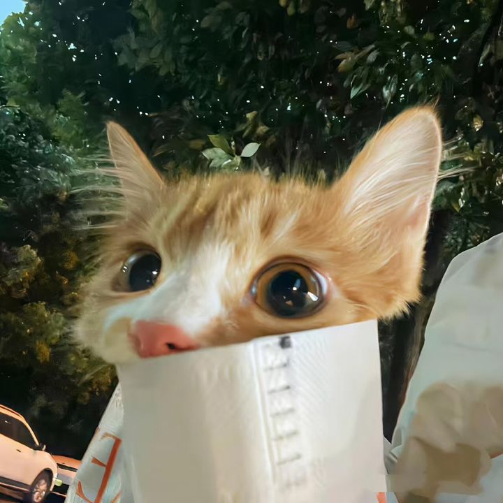 ulljzqrqt8