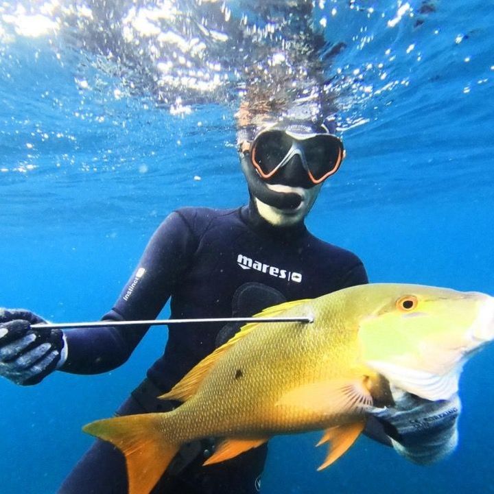 Fish 🐠