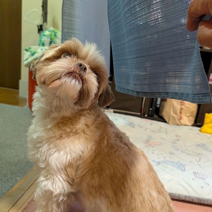 🫰マシューの相棒🫰🤗👍